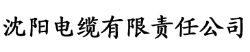 5c5c5c视频百度影音电缆厂logo